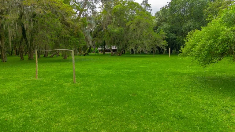 Imagem Sítio à venda na Lapa Paraná