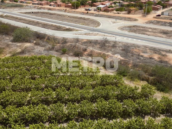 Imagem Lote de 15 hectares, escriturado e quitado na CODEVASF, PETROLINA - PE