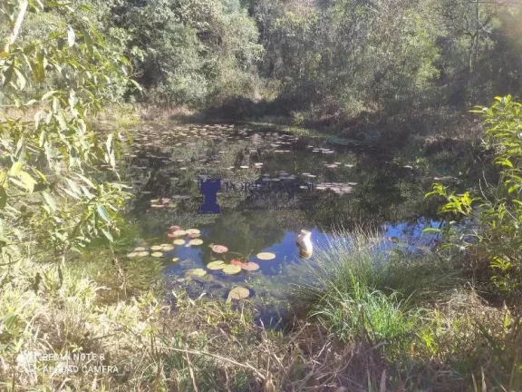 Imagem CHÁCARA NA REGIÃO NO BUGRE EM BALSA NOVA
