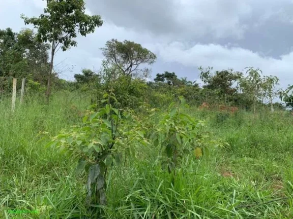 Imagem LOTES COM FINANCIAMENTO PRÓPRIO, EM MATEUS LEME