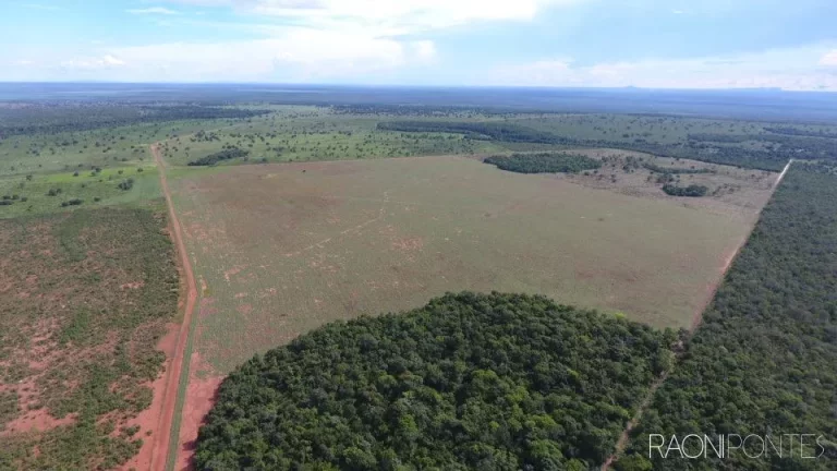 Fazenda à Venda, 46.464.000 m² em Zona Rural - Peixe