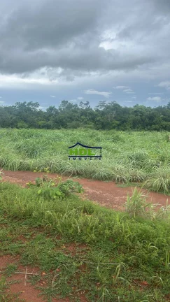 Imagem Fazenda 226 Alqs Dupla aptidão Natividade/TO