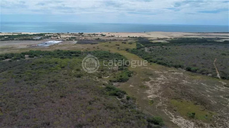Imagem Fazenda em Caíçara do Norte 552 Ha