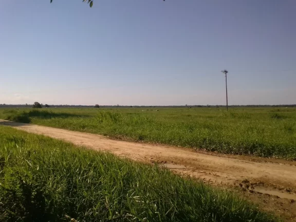 Imagem FAZENDA RURAL em LINHARES - ES, ÁREA RURAL DE LINHARES