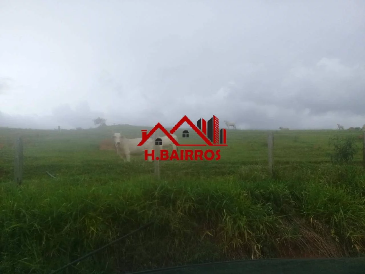 Imagem Fazenda 92 Alqueires à Venda em Lorena SP