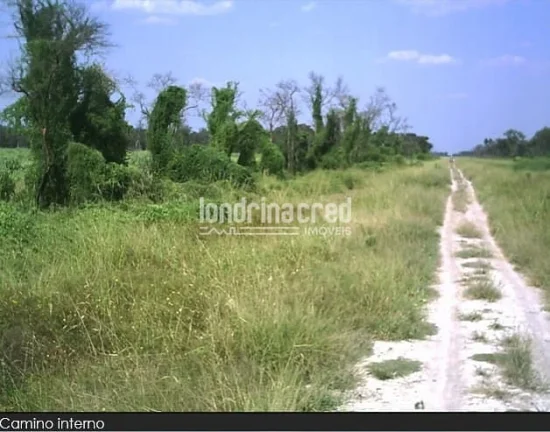 Imagem Fazenda à Venda no Paraguai por 900 dólares por hectare com Alto Potencial Pecuário