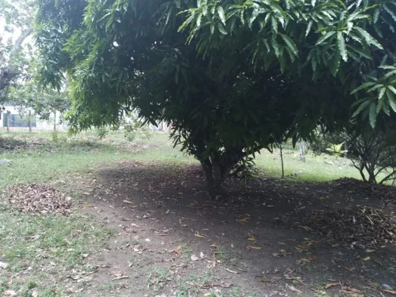 Imagem Terreno de 2.800m² à venda, localizado em Chã de Onça, Paudalho - Pernambuco.