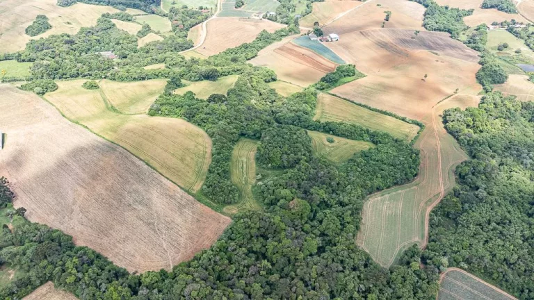 Imagem Chácara com 6 alqueires em Campo Magro