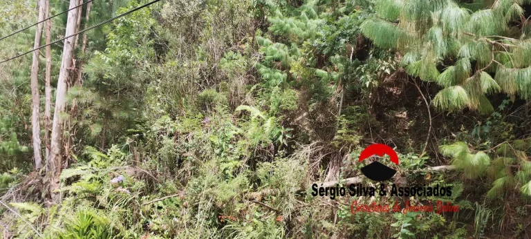 Imagem Terreno a Venda na Região do Villa inglesa em Campos do Jordão -SP.
