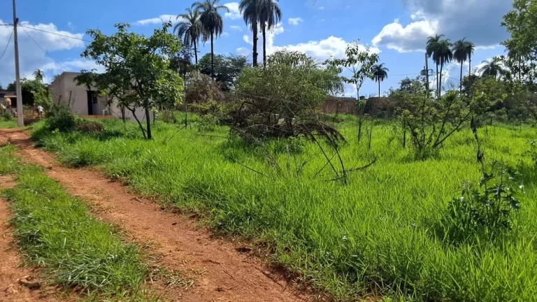 Imagem LOTES COM FINANCIAMENTO PRÓPRIO, EM MATEUS LEME