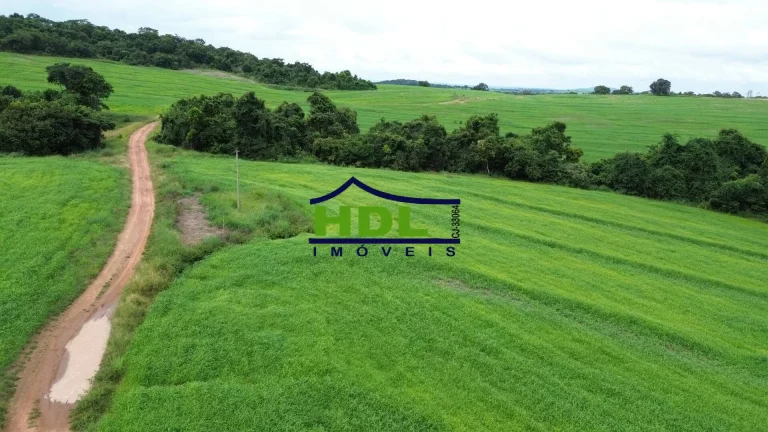 Imagem Fazenda com 15 Alqs com 10 Alqs em soja em Cromínia