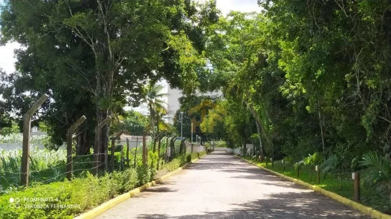 Imagem Lote de 900m² à venda, localizado em Aldeia, Camaragibe - Pernambuco.