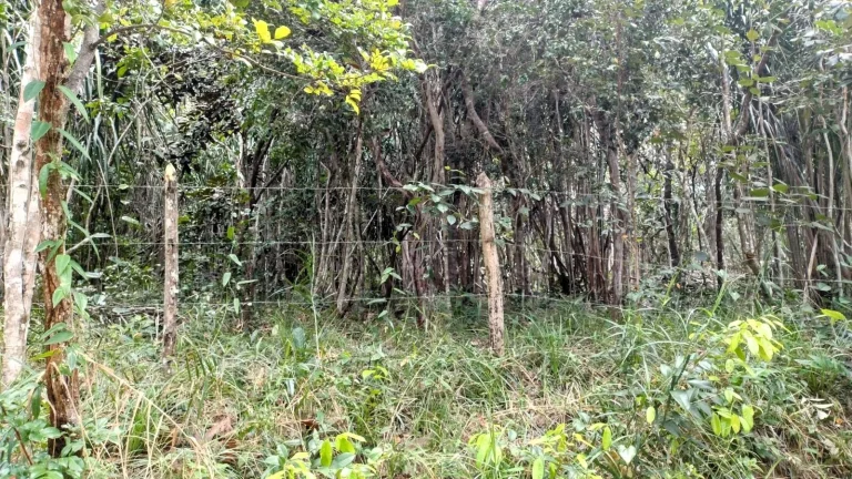 Oportunidade: Terreno em Mata de São João, Lagoa do Aruá - Venda no Loteamento Quinta do Castelo da Torre