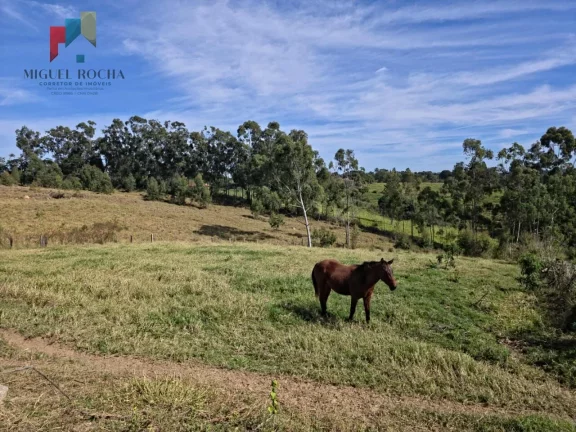 Imagem Sítio em Itapetininga SP