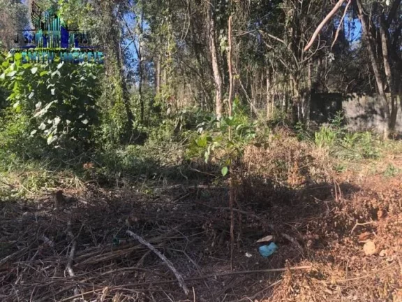Imagem TERRENO 500 m² DENTRO DE CONDOMÍNIO FECHADO.

Área com 20 metros de frente, e com vegetação sec...