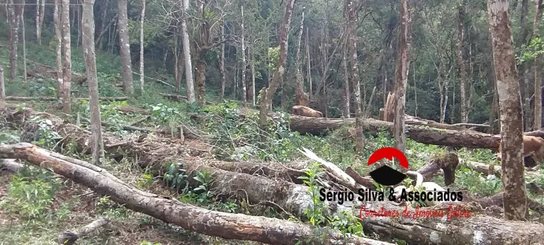 Imagem Terreno a Venda na Região da Nova Capivari em Campos do Jordão -SP.