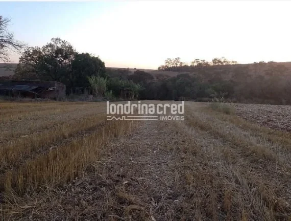 Imagem Vendo Terreno de 40.000m² Próximo a Ibiporã – Ótimo para Investimento, Loteamento, Agricultura ou Chácaras! Duas Escrituras! Agende uma Visita!