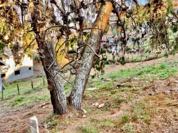 Imagem Terreno à venda, 360 m² - Jardim Marcia - Campos do Jordão/São Paulo
