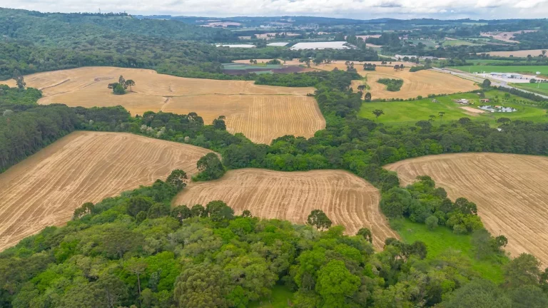 Imagem Sítio à venda na Lapa Paraná
