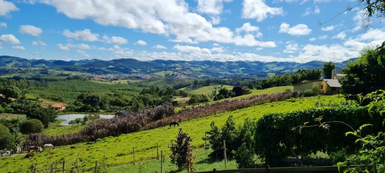 Imagem Lindo sítio em Pedra Bela