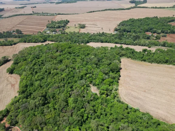 Imagem Chácara a venda em Cascavel, com 2,0992 hectare cada uma e matrícula indiviauais.