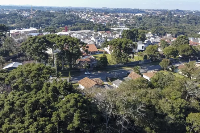 Imagem AREA EM SANTA FELICIDADE