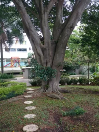 Imagem Apartamento á Venda Jardim Independência Rua Glória do Goitá 78m² 3 dormitórios 1 vaga