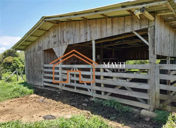 Imagem SITIO RURAL em CAMPO ALEGRE - SC, Estrada Laranjeiras
