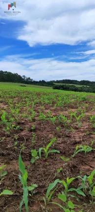 Imagem Fazenda a venda São Miguel Arcanjo SP