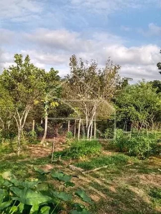 Imagem Sítio com Casa à venda, 100.614,00 m², Timbuí - Fundão/ES