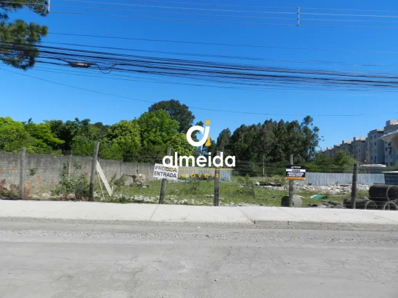 Imagem AREA IDEAL PARA CONSTRUIR PRÉDIOS
