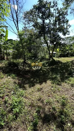 Imagem Chácara - Sítio com 4 Dormitorio(s) localizado(a) no bairro Linha Cristo Rei em Morro Reuter / RIO GRANDE DO SUL Ref.:1468