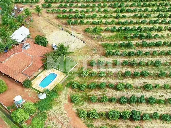 Imagem Fazenda produtiva de mangas à venda com 12,5 ha, PETROLINA - PE