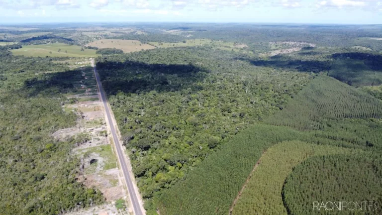 Imagem Fazenda à Venda, 7.140.000 m² em Zona Rural - Cardeal Da Silva