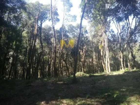 Imagem Chácara, 7000m2, à venda no Recreio da Serra em Piraquara!!!