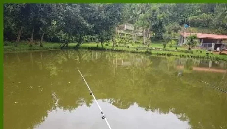 Imagem Sítio para Venda em Pedro de Toledo, Manoel da Nóbrega, 5 dormitórios, 2 suítes, 6 banheiros, 20 vagas