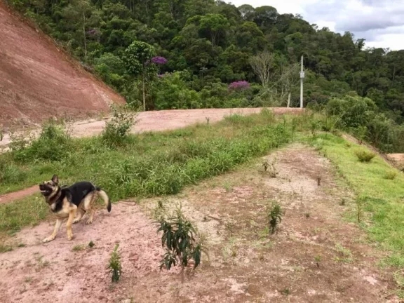 Imagem Sitio com ampla casa térrea com varanda ampla lateral.