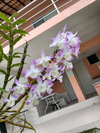 Imagem Casa 4 dormitórios ( 4 suítes), Recanto dos Pássaros, Jacareí.
