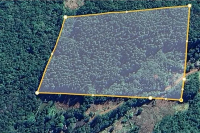 Imagem CLBG 120 Lote 612511062-6 - Fazenda à venda no bairro Riozinho - Riozinho/RS