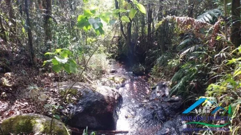Imagem Paraíso para amantes da natureza: Terreno com cachoeira em Gonçalves!