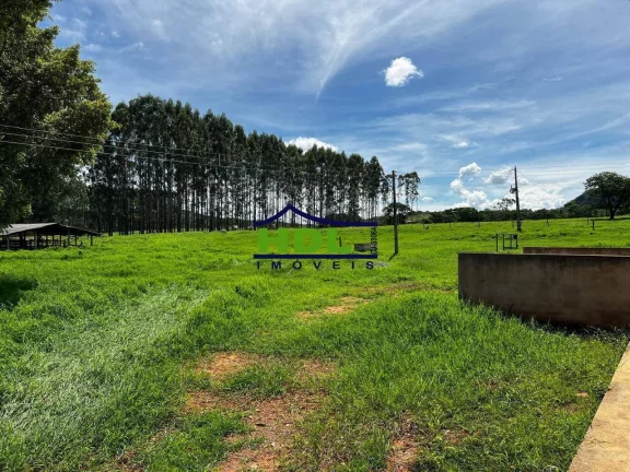 Imagem Fazenda Top de 165 Alqs em Padre Bernardo GO