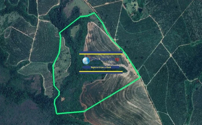 Sitio 25 alqueires vende R$ 140.000 alqueire, entre Altinópolis - SP e São Sebastião do Paraíso MG