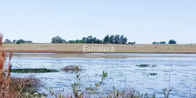 Imagem Ótima área rural com 145 hectares