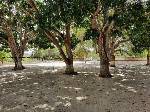 Imagem Granja para Venda em Macaíba, Centro, 2 dormitórios, 3 banheiros, 9 vagas