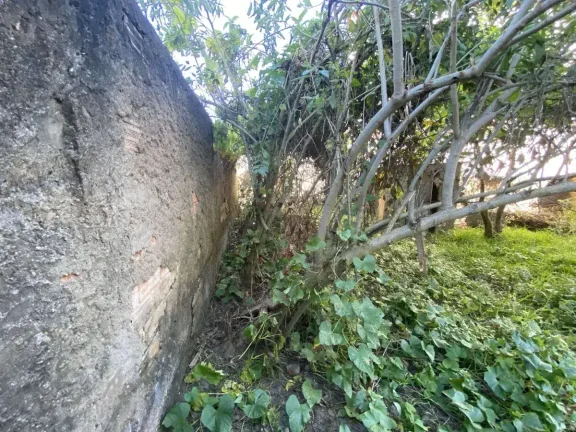 Imagem Oportunidade para Investidores – Terreno com Excelente Potencial no Bairro Monsenhor Mário Quintão!
