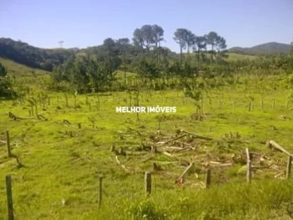 Imagem Terreno - Venda - Santo Amaro da Imperatriz , Santa Catarina