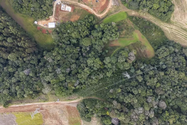 Imagem Chácara em Campo Magro com 24.200 m²