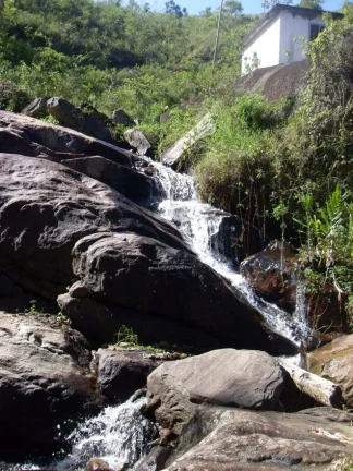 Imagem VENDO FAZENDA FICA A 25 KM DO CENTRO DE ANGRA 116 Hectares, MUITA ÁGUA