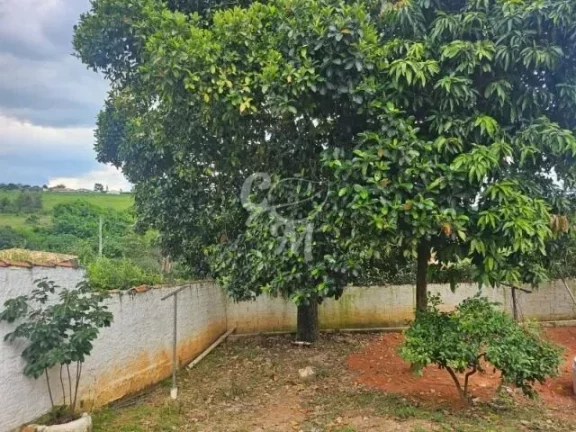 Imagem Casa Térrea nos Cafezais