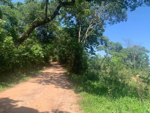 Imagem ÁREA DE 2 HECTARES , EM JUATUBA! IDEAL PARA CONSTRUTORES.